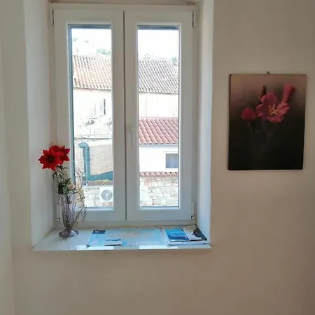 Rosa 3* Vis